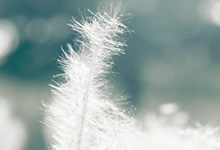 寶璣航海繫列再添巔峰之作超卓復(fù)雜功能腕錶